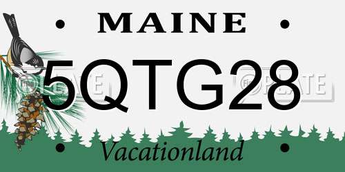 5QTG28 Maine License Plate