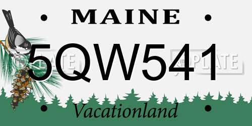 5QW541 Maine License Plate