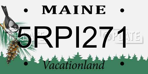 5RPI271 Maine License Plate