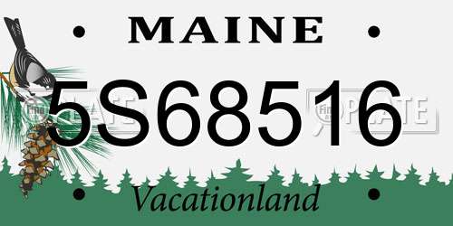 5S68516 Maine License Plate