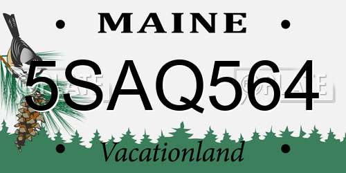 5SAQ564 Maine License Plate