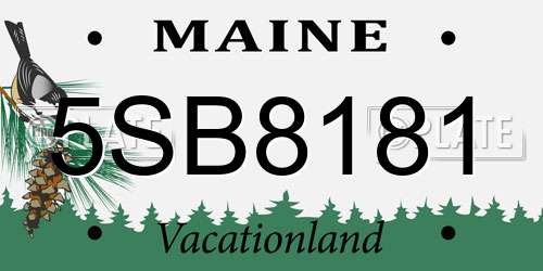 5SB8181 Maine License Plate