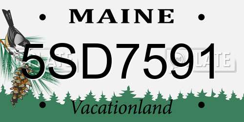 5SD7591 Maine License Plate