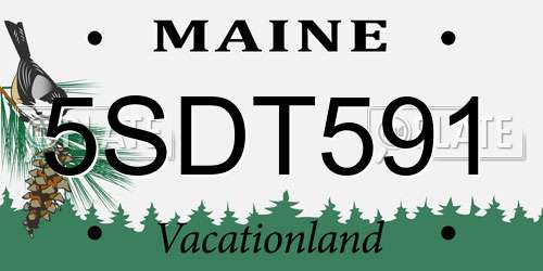 5SDT591 Maine License Plate
