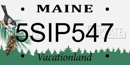5SIP547 Maine License Plate