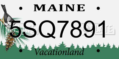 5SQ7891 Maine License Plate