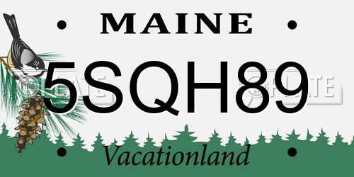 5SQH89 Maine License Plate