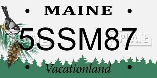 5SSM87 Maine License Plate