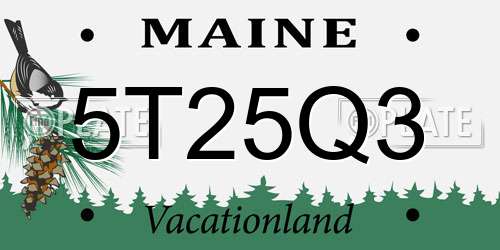 5T25Q3 Maine License Plate
