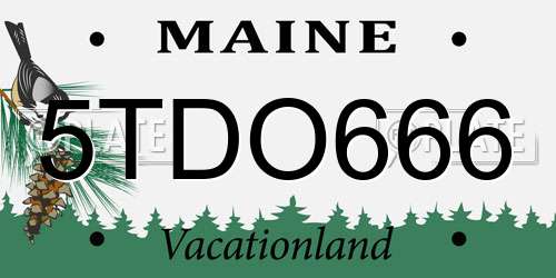 5TDO666 Maine License Plate