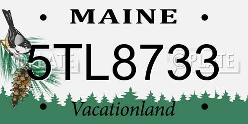 5TL8733 Maine License Plate