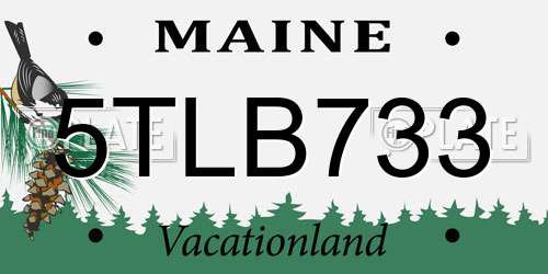 5TLB733 Maine License Plate