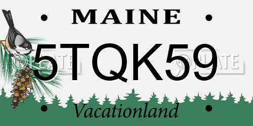 5TQK59 Maine License Plate