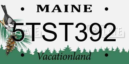 5TST392 Maine License Plate