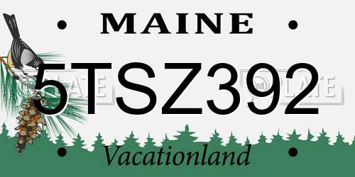 5TSZ392 Maine License Plate