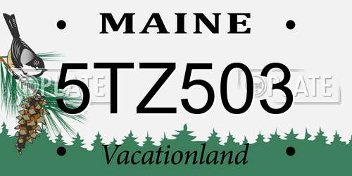 5TZ503 Maine License Plate