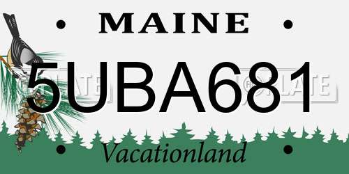 5UBA681 Maine License Plate