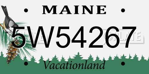5W54267 Maine License Plate