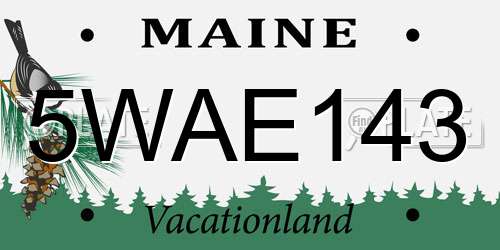 5WAE143 Maine License Plate