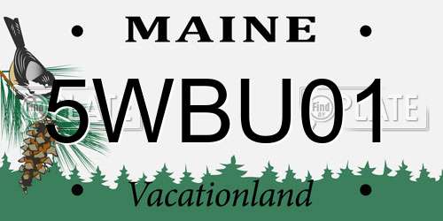 5WBU01 Maine License Plate