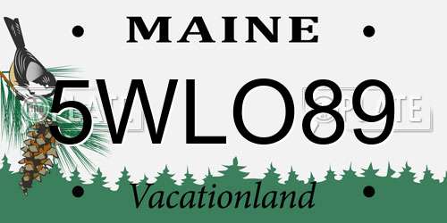 5WLO89 Maine License Plate