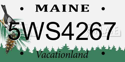 5WS4267 Maine License Plate