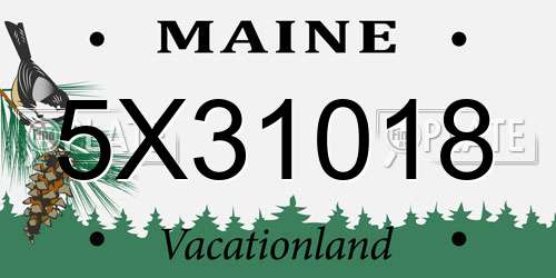 5X31018 Maine License Plate