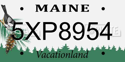 5XP8954 Maine License Plate