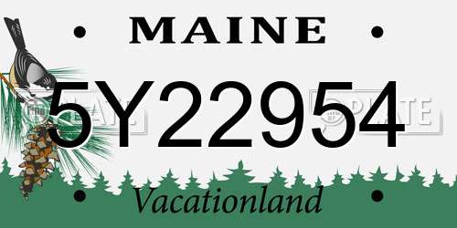 5Y22954 Maine License Plate