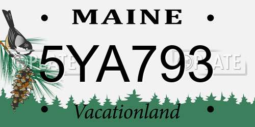 5YA793 Maine License Plate