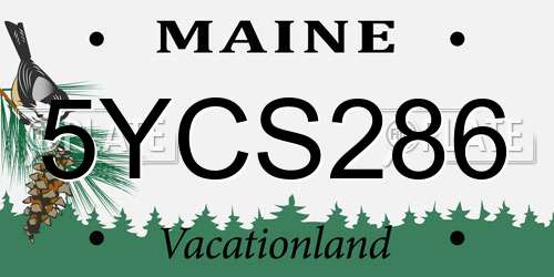 5YCS286 Maine License Plate