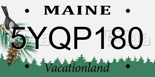 5YQP180 Maine License Plate