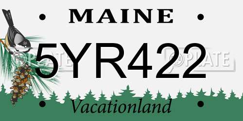 5YR422 Maine License Plate