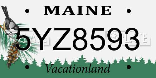 5YZ8593 Maine License Plate