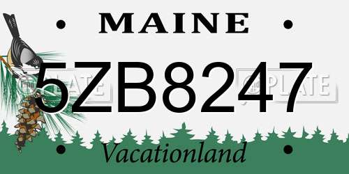 5ZB8247 Maine License Plate