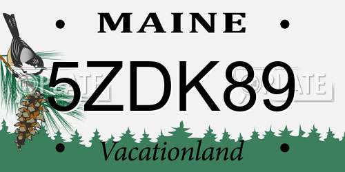 5ZDK89 Maine License Plate