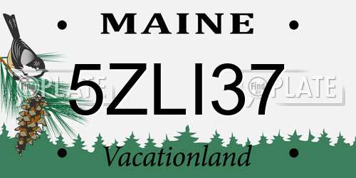 5ZLI37 Maine License Plate