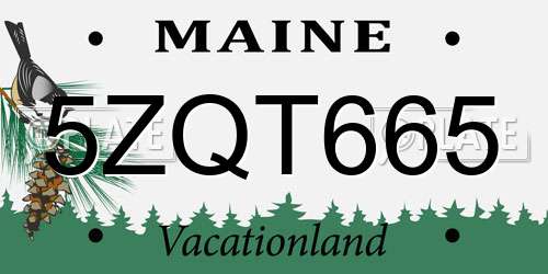 5ZQT665 Maine License Plate