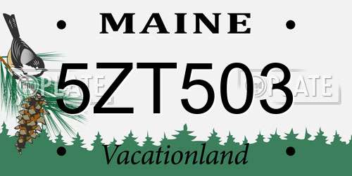 5ZT503 Maine License Plate