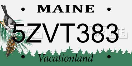 5ZVT383 Maine License Plate