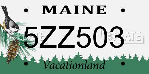 5ZZ503 Maine License Plate