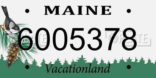 6005378 Maine License Plate