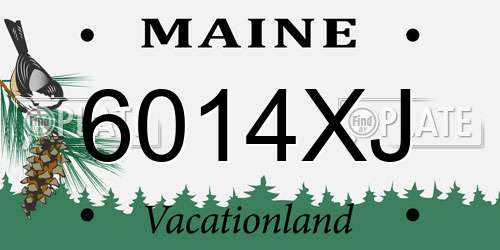 6014XJ Maine License Plate