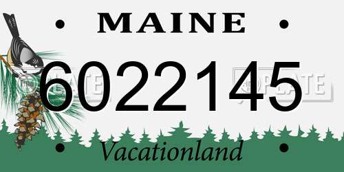 6022145 Maine License Plate