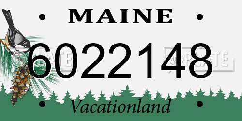 6022148 Maine License Plate