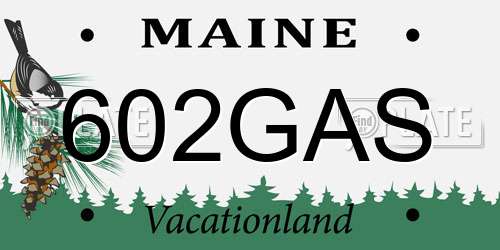 602GAS Maine License Plate