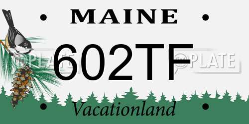 602TF Maine License Plate