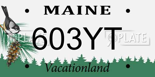 603YT Maine License Plate