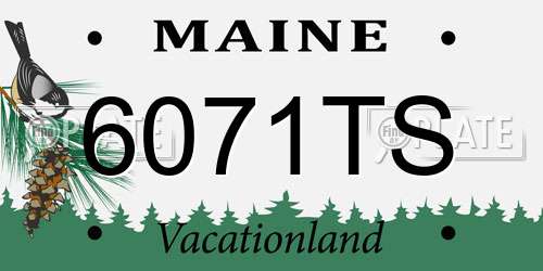 6071TS Maine License Plate