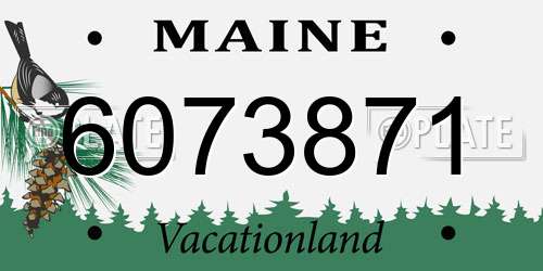 6073871 Maine License Plate